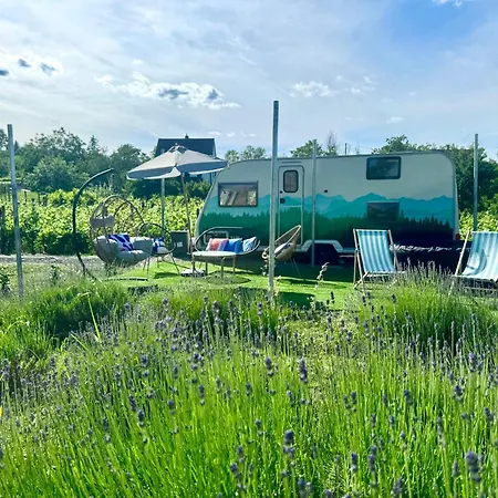 Bohemian Eco At Balaton