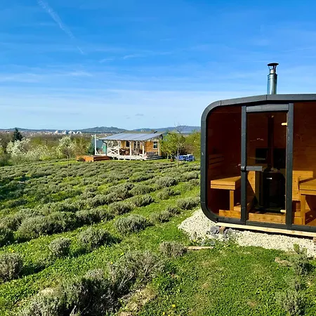 Dom wakacyjny Bohemian Eco At Balaton