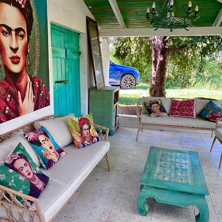 Bohemian Eco At Balaton Kisapati